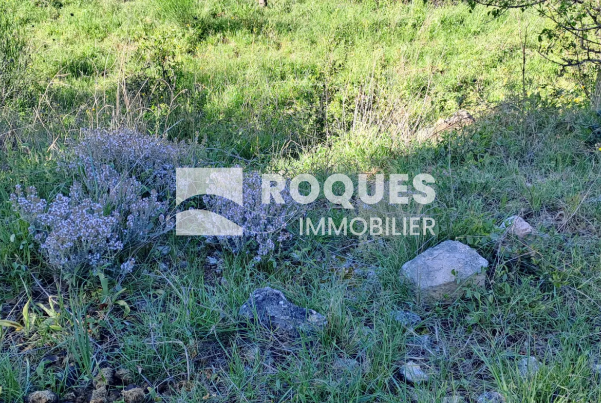 Terrain de Loisirs avec Vue Exceptionnelle à St Etienne de Gourgas 