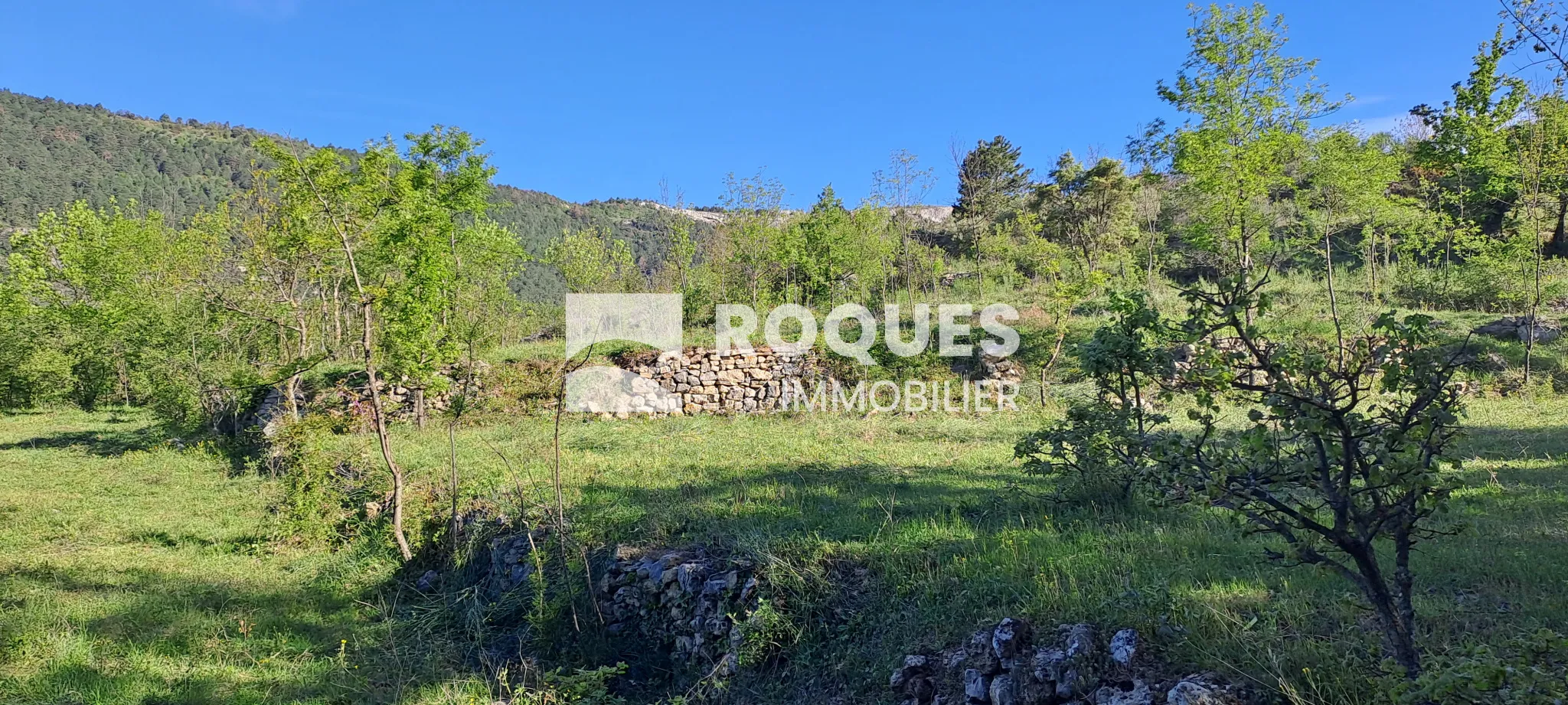 Terrain de Loisirs avec Vue Exceptionnelle à St Etienne de Gourgas 