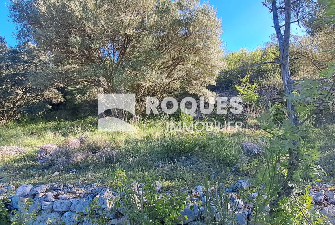 Terrain de Loisirs avec Vue Exceptionnelle à St Etienne de Gourgas 