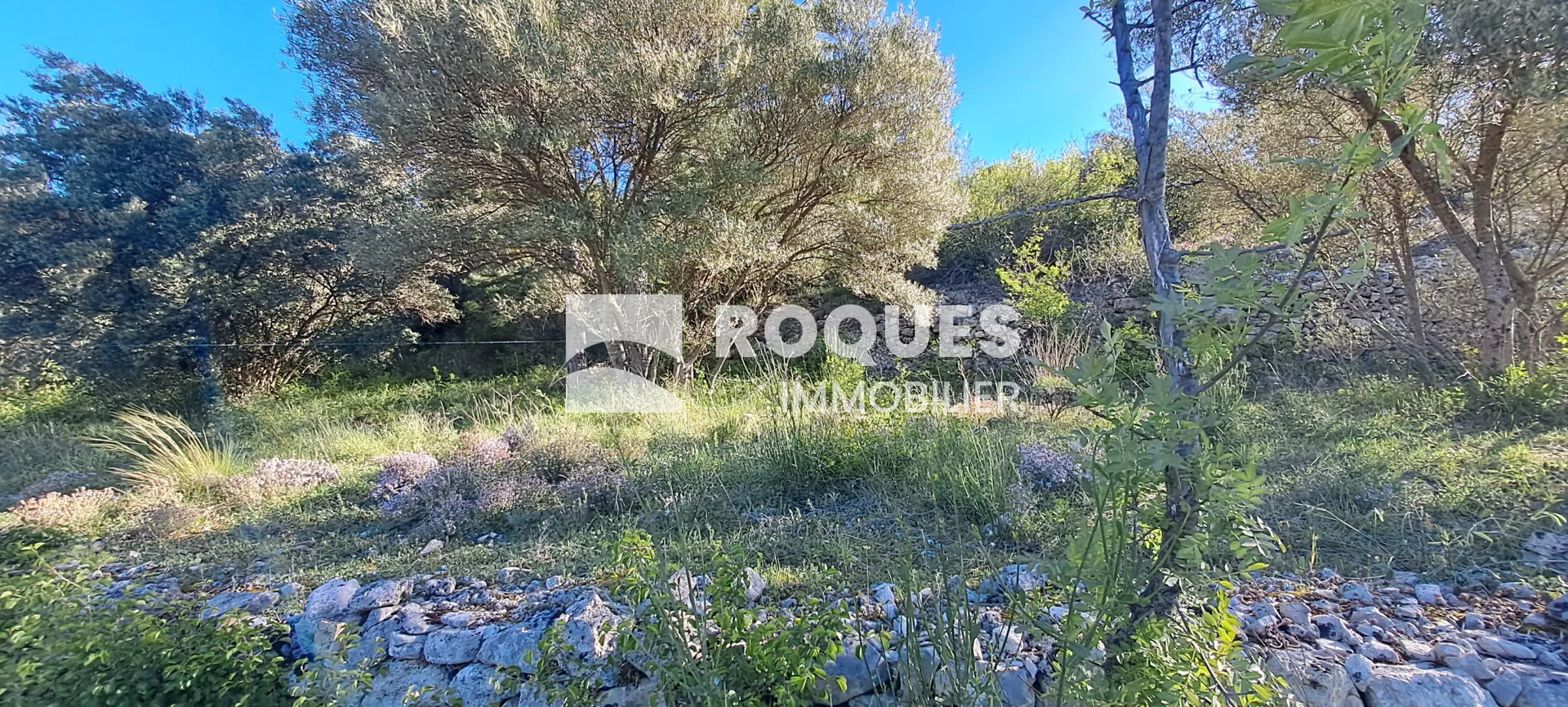 Terrain de Loisirs avec Vue Exceptionnelle à St Etienne de Gourgas 