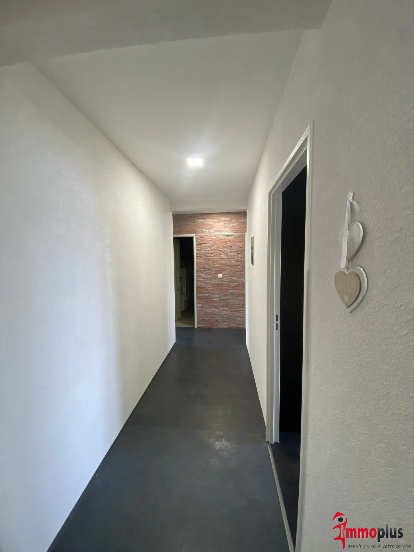 Appartement F3 rénové au cœur de Saint-Louis 