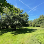 Parcelle de terrain constructible à Chevremont de 8 ares (Réf VB3571)