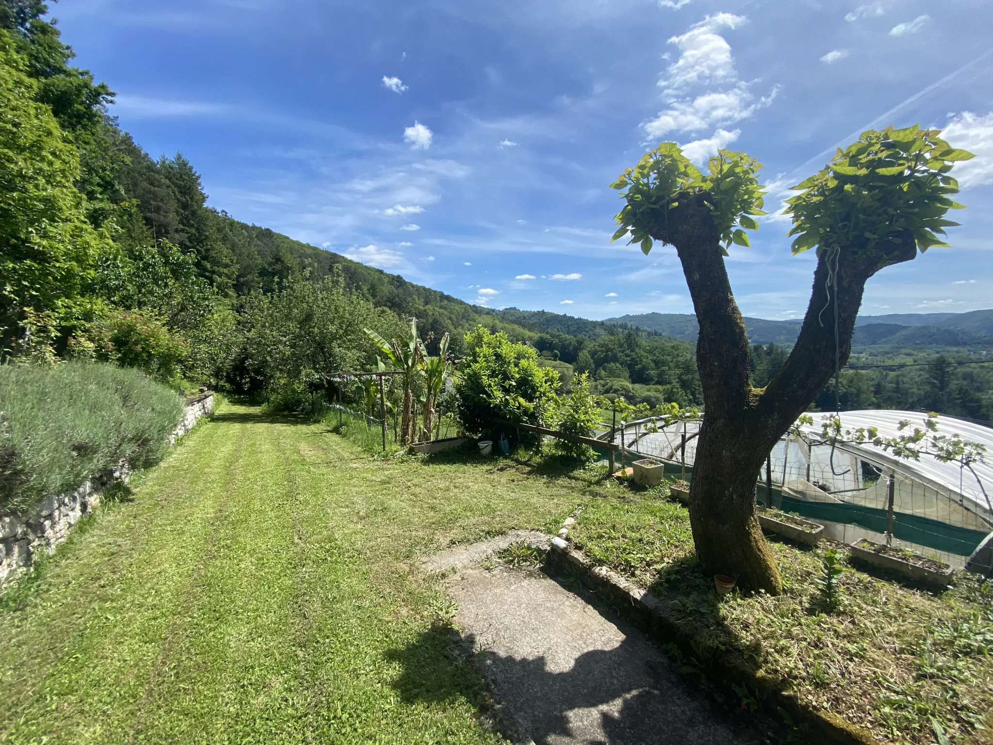 Maison Familiale avec Vue sur la Vallée à Argentat 