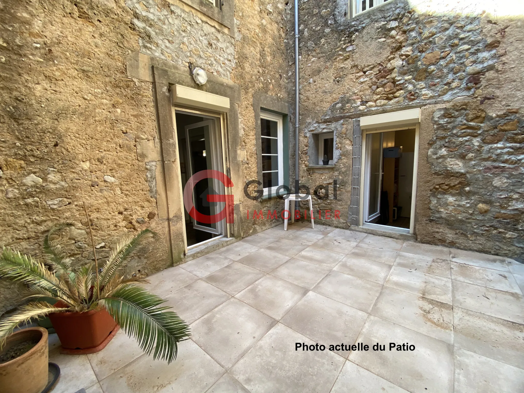 Maison de maître en pierre avec garage à Montouliers 