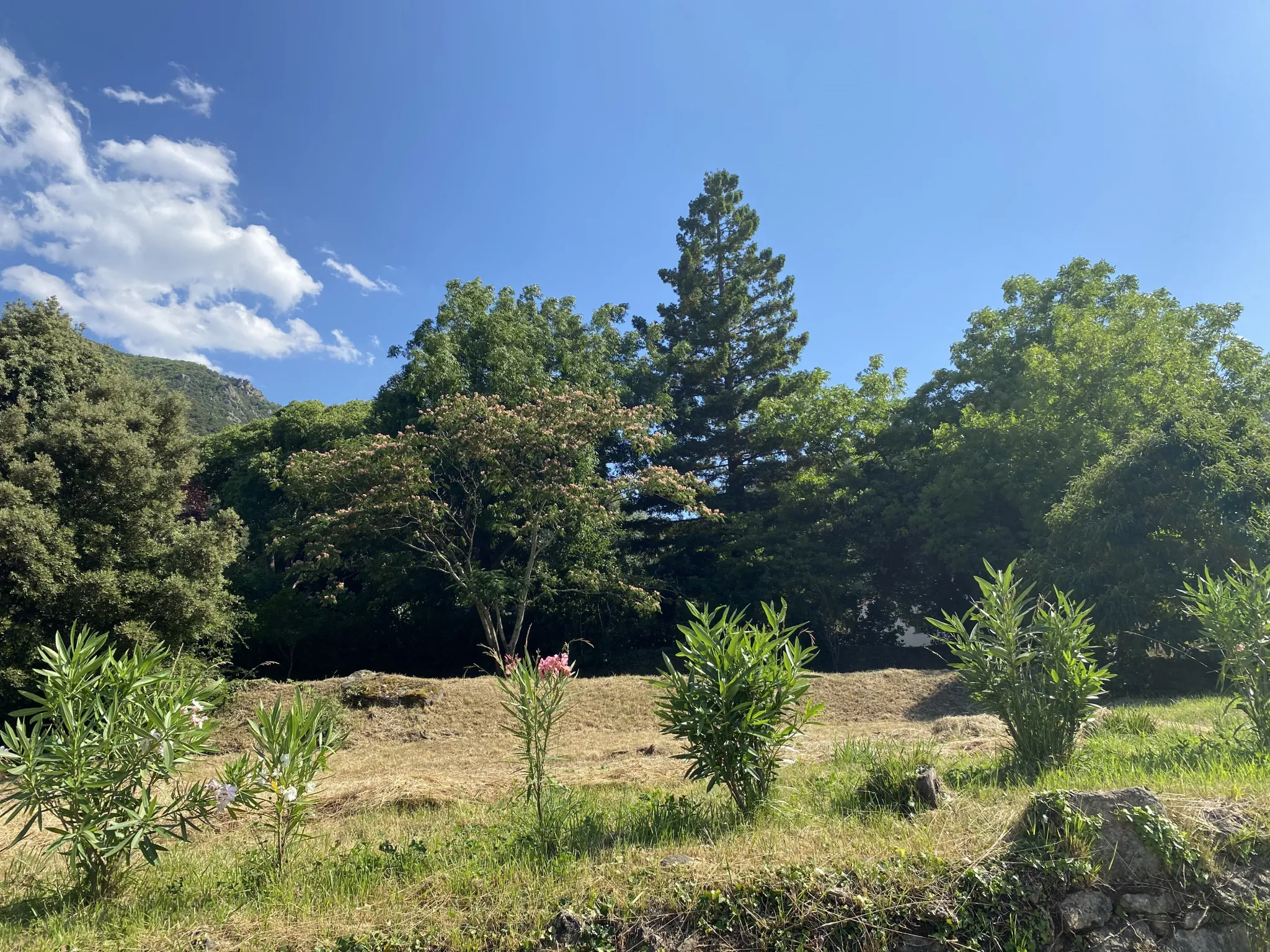 Terrain à bâtir à Arles-Sur-Tech avec vue sur les montagnes 