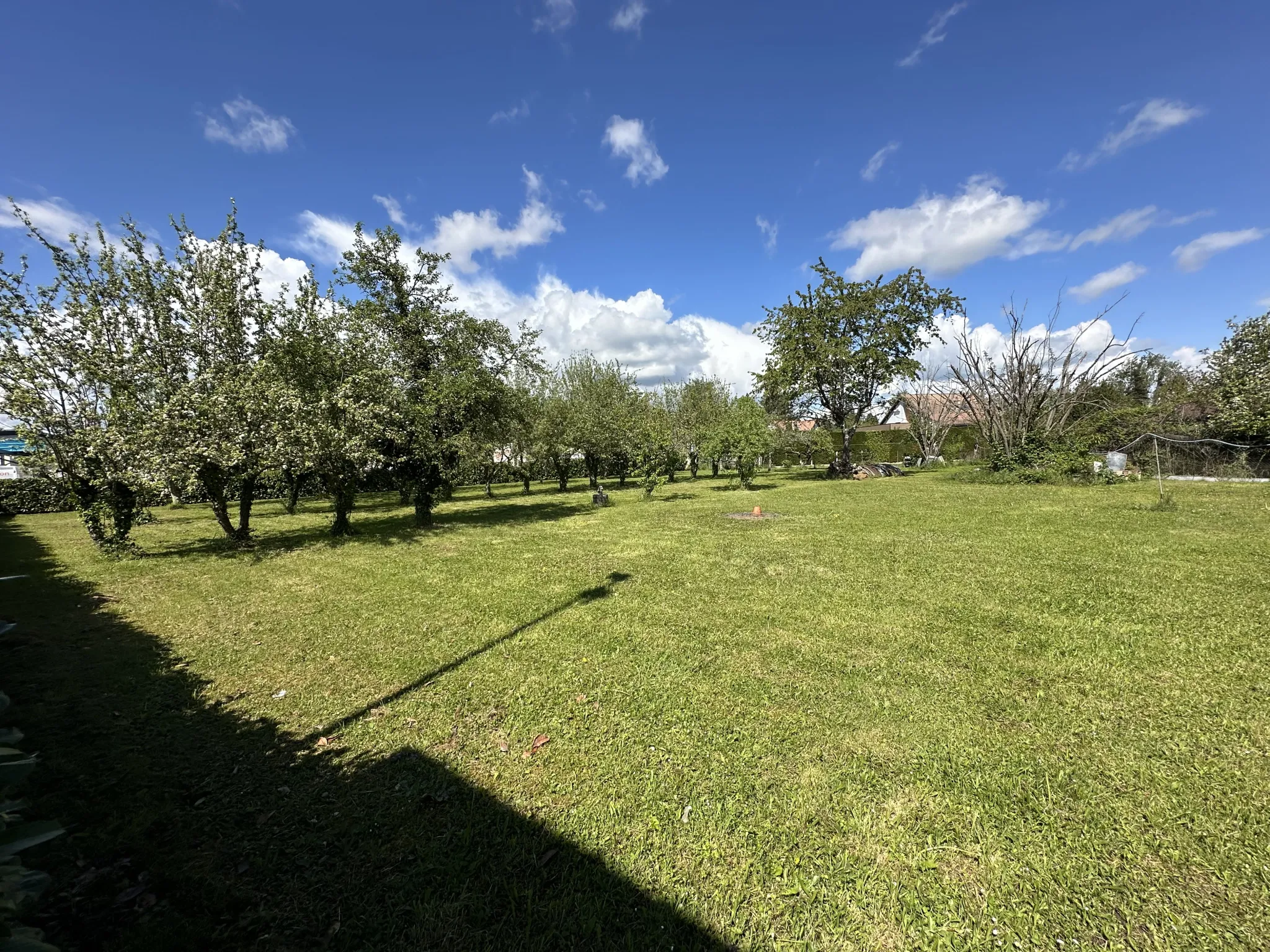 Lovely House for Renovation in Bellerive with Large Land 