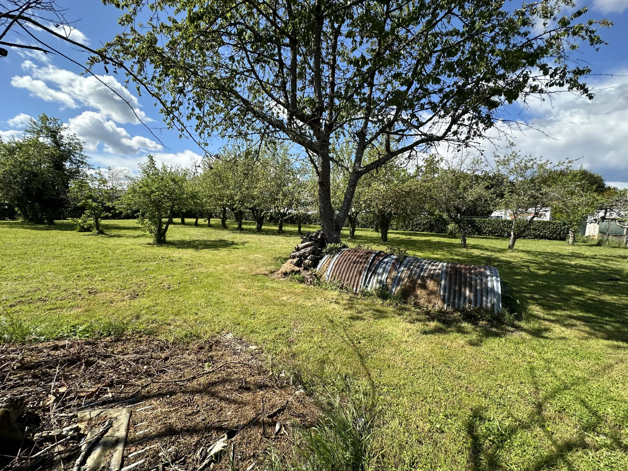 Lovely House for Renovation in Bellerive with Large Land 