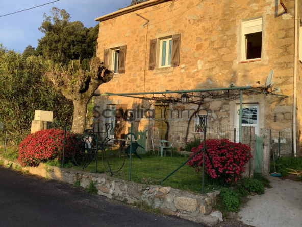 Maison de village en pierre à Marato avec vue dégagée