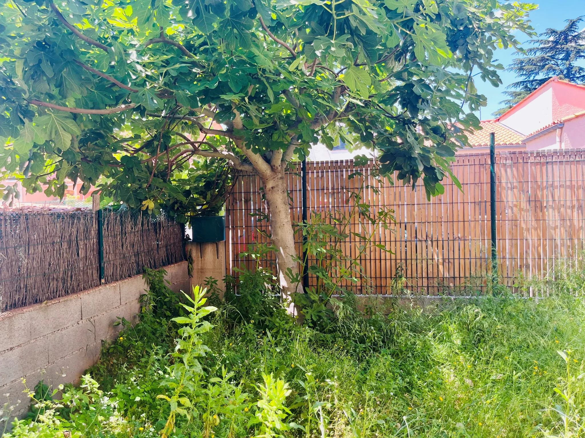 Charmante Maison avec Jardin et Garage à Villeneuve-De-La-Raho 