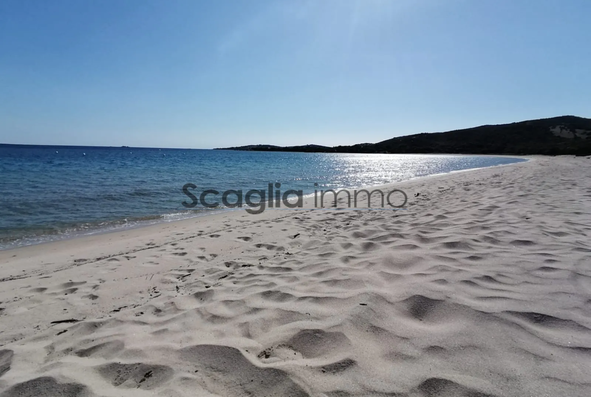 Studio pieds dans l'eau - vue mer exceptionnelle OLMETO 