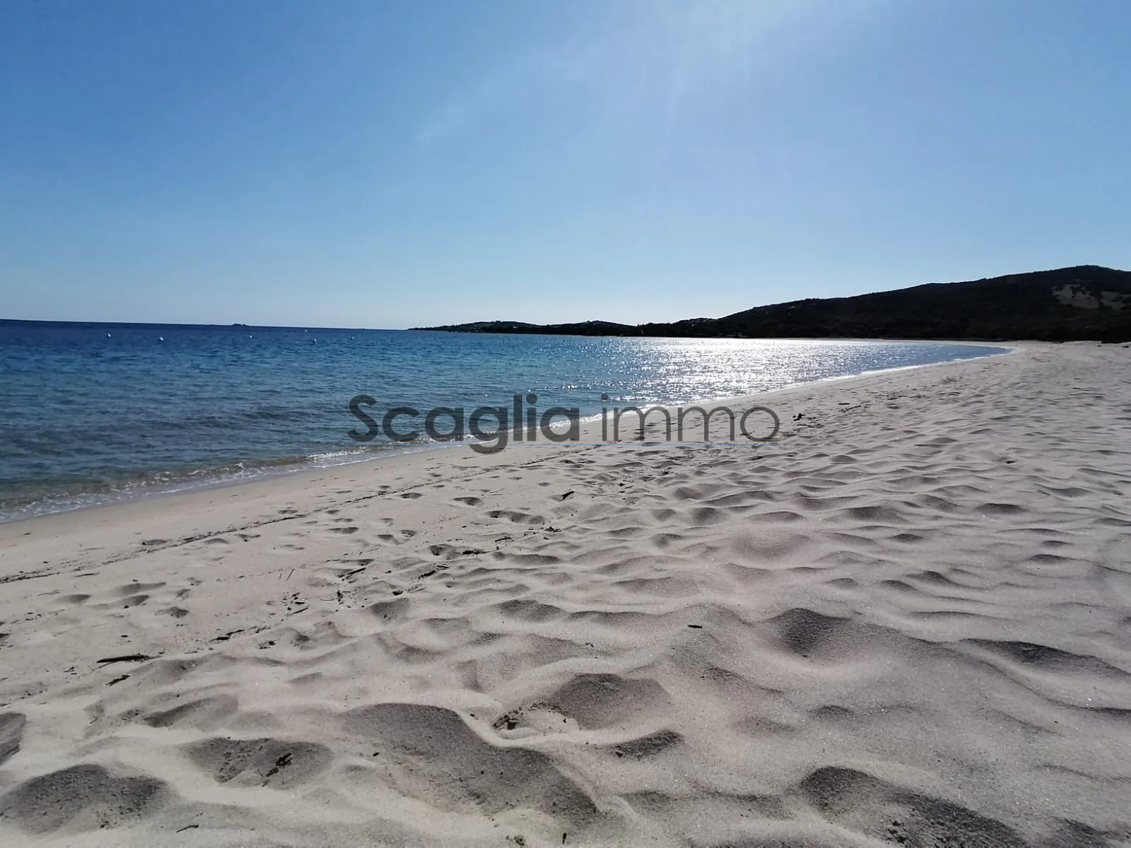 Studio pieds dans l'eau - vue mer exceptionnelle OLMETO 