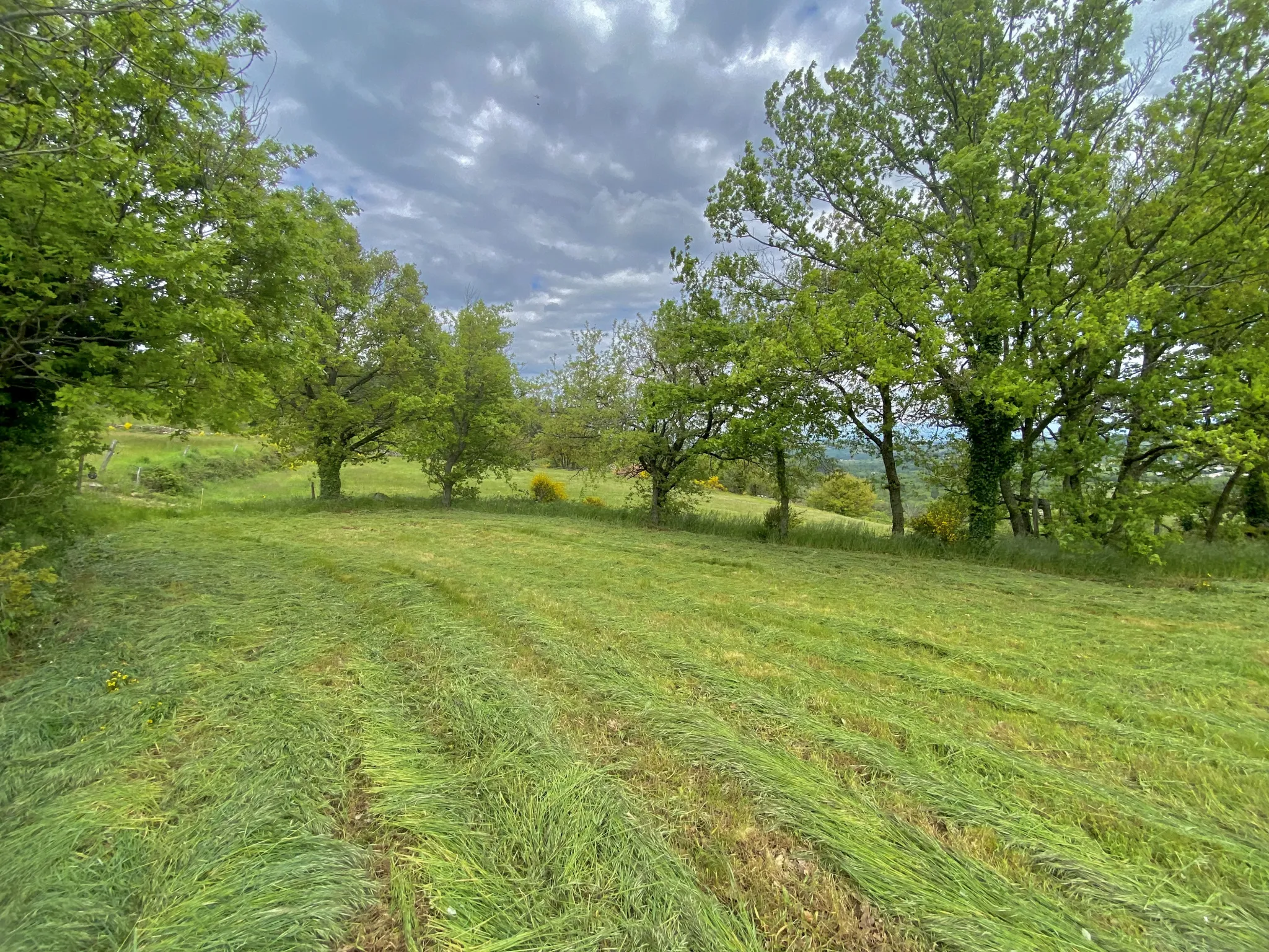 Terrain constructible de 2155 m2 à 3 km du village de Satillieu 