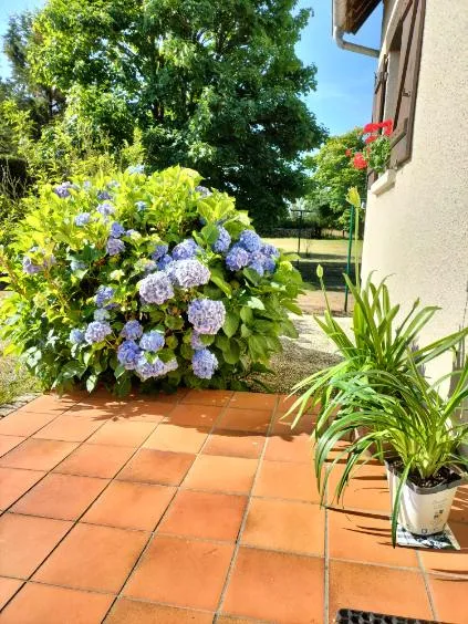 Pavillon dans un écrin de verdure de 6000m2 à St Germain La Campagne 