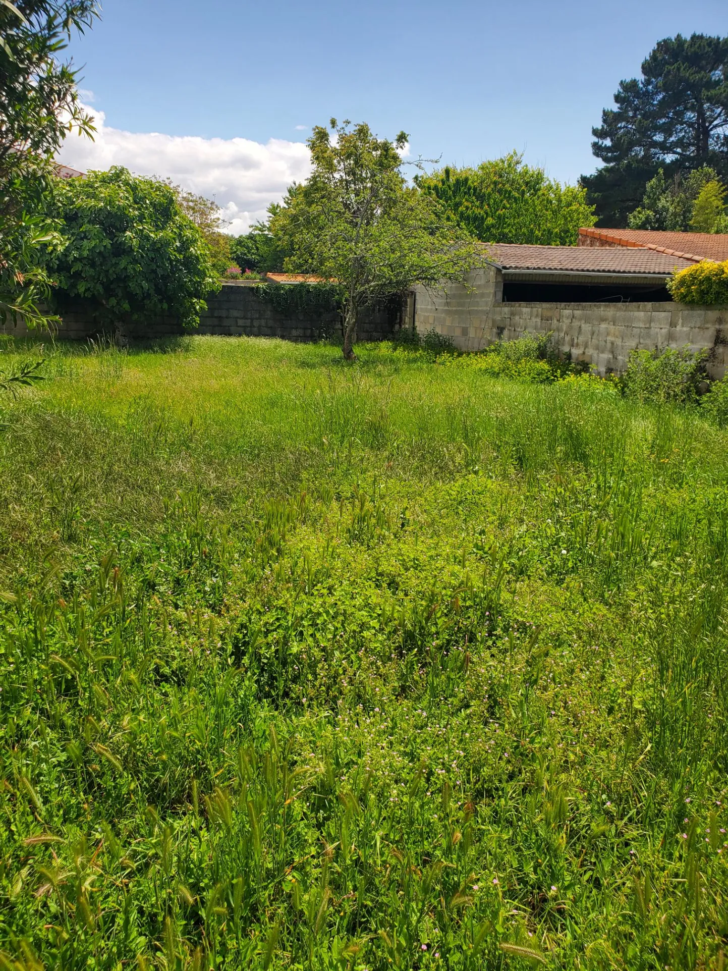 Terrain à bâtir de 404m2 à Saint-Palais sur Mer 