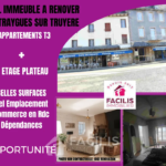 Immeuble avec 2 Appartements et Commerce de Restauration à Réhabiliter à Entraygues-sur-Truyère