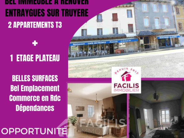 Immeuble avec 2 Appartements et Commerce de Restauration à Réhabiliter à Entraygues-sur-Truyère