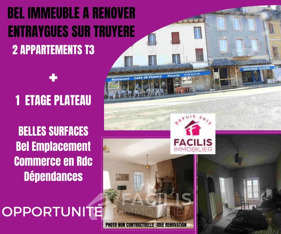 Immeuble avec 2 Appartements et Commerce de Restauration à Réhabiliter à Entraygues-sur-Truyère 