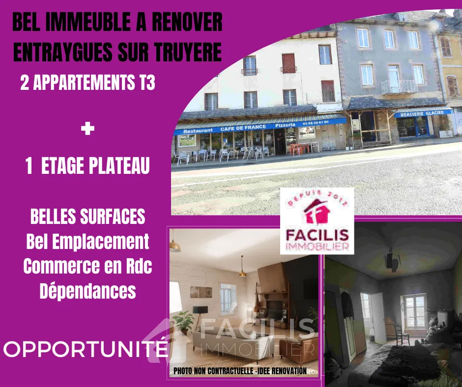 Immeuble avec 2 Appartements et Commerce de Restauration à Réhabiliter à Entraygues-sur-Truyère 