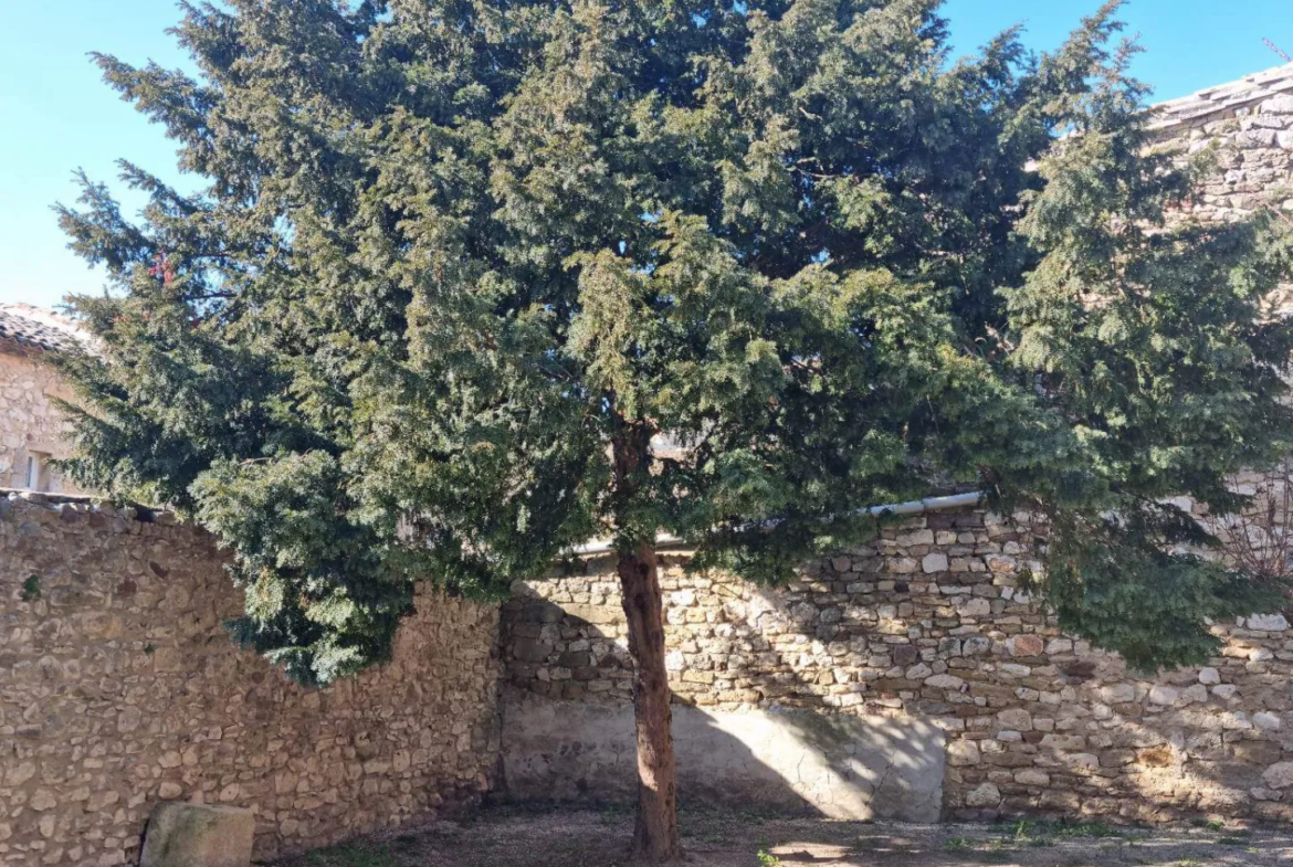 Ancienne Magnaneraie à rénover à Saint Hippolyte de Montaigu 