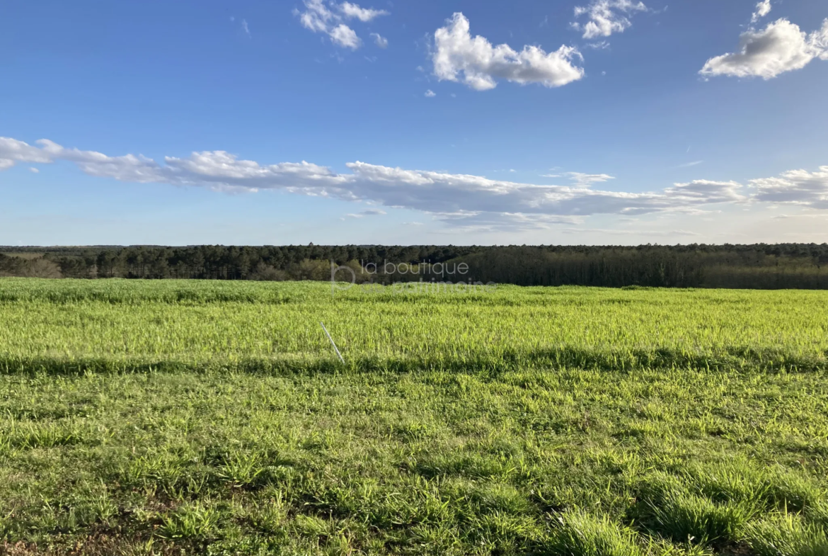 Maison 130m2 rénovée avec vue panoramique et grand jardin à Bazas 