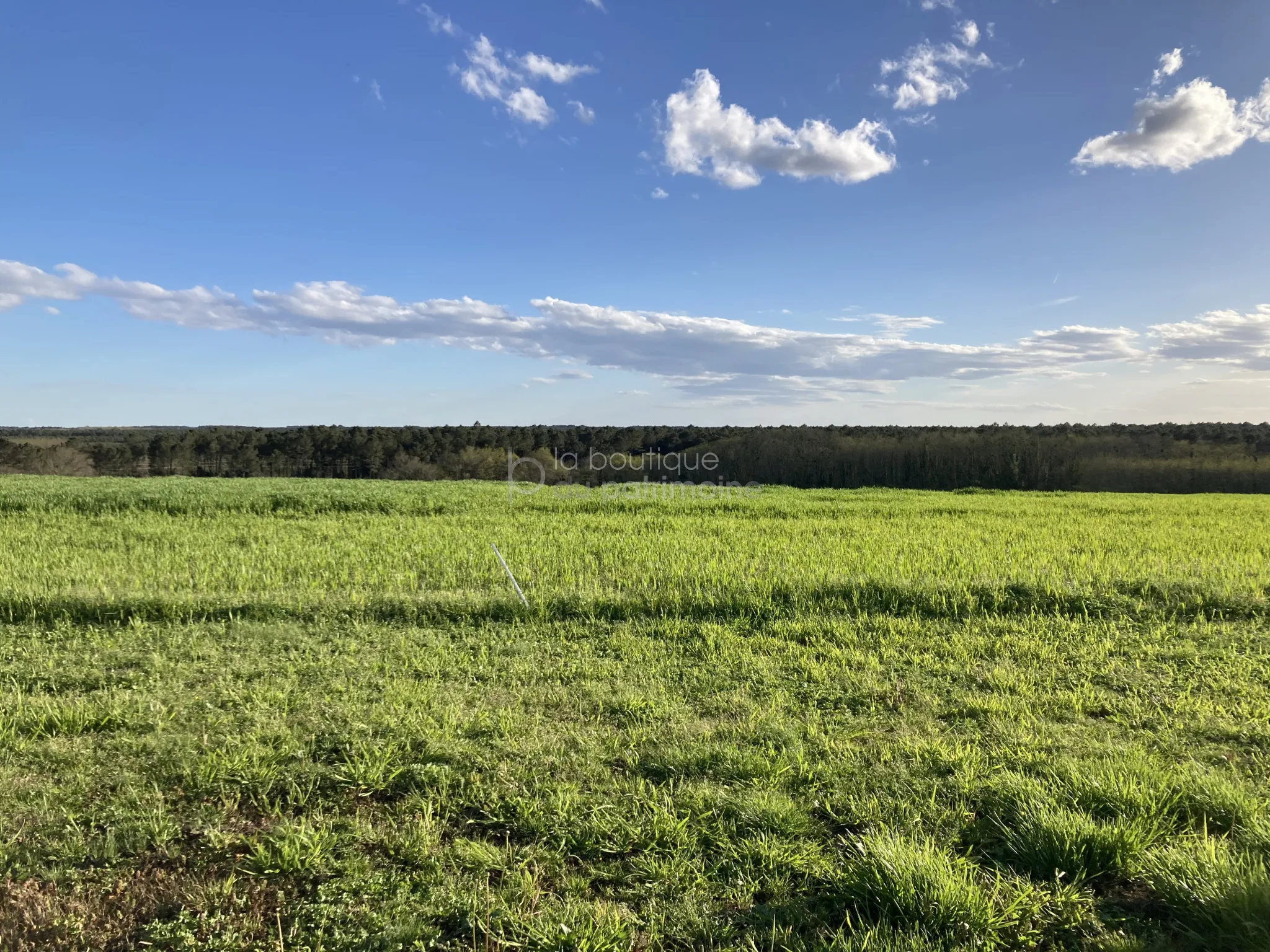 Maison 130m2 rénovée avec vue panoramique et grand jardin à Bazas 