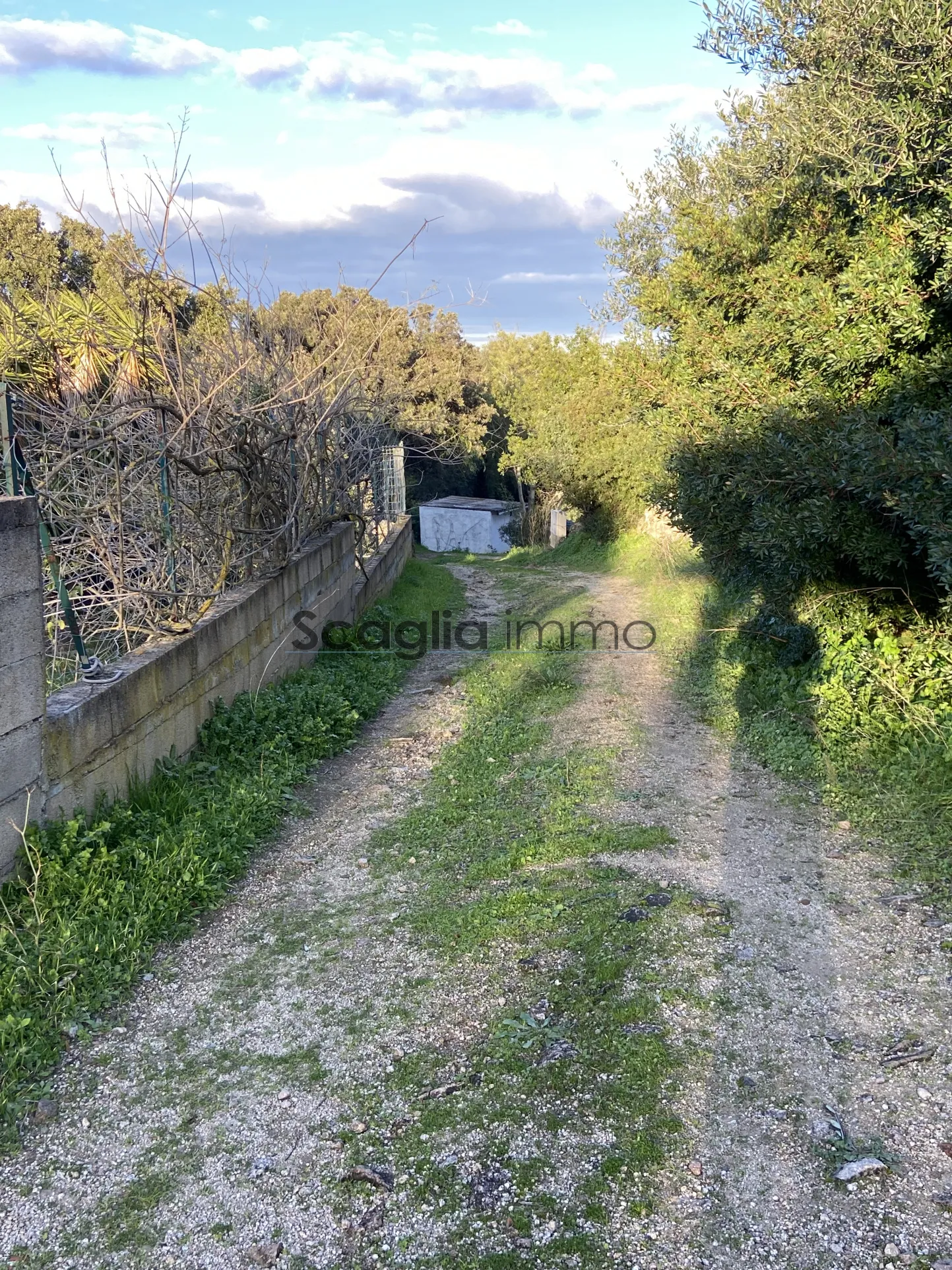 Terrain constructible à Porto-Vecchio centre 