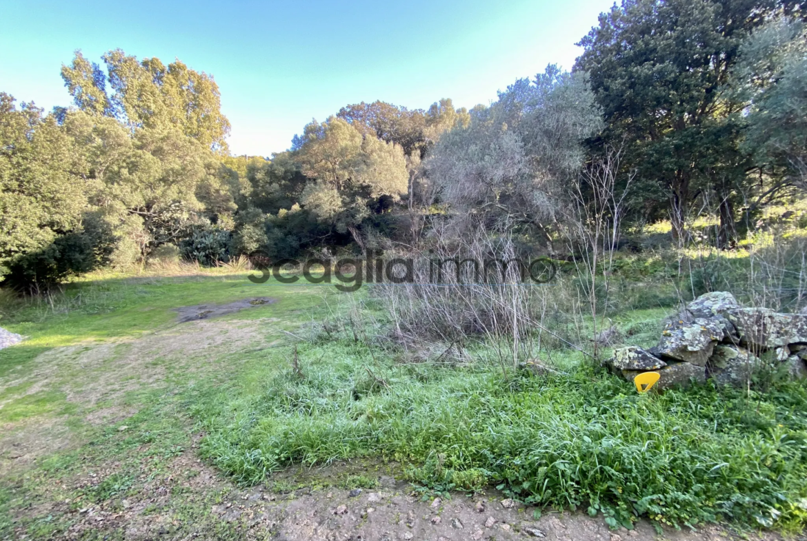 Terrain constructible à Porto-Vecchio centre 