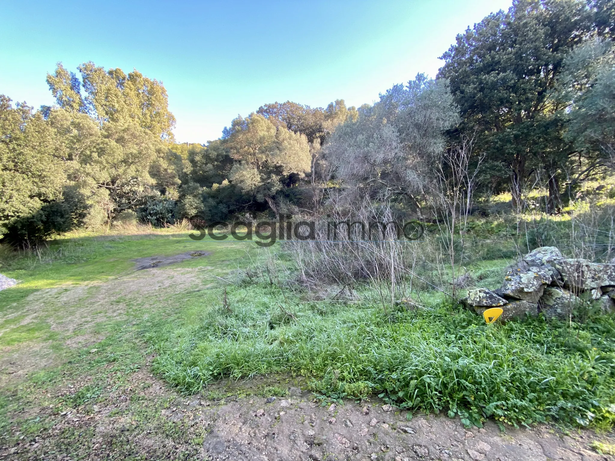 Terrain constructible à Porto-Vecchio centre 