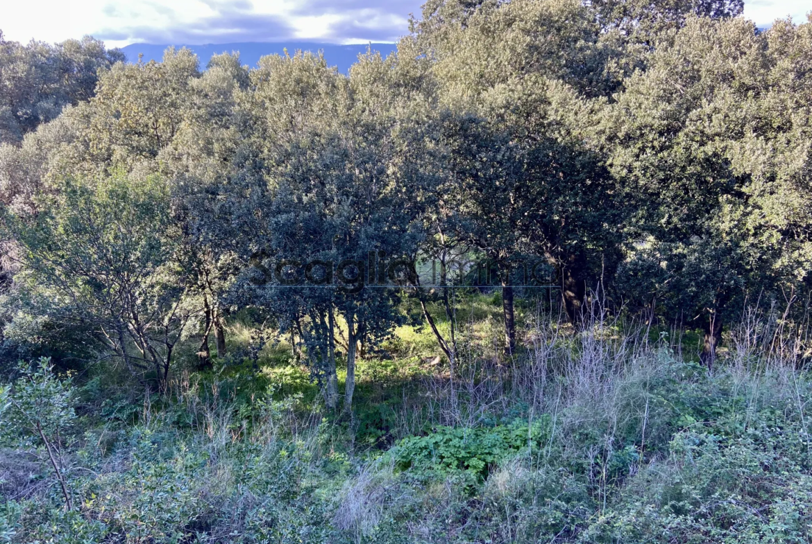 Terrain constructible à Porto-Vecchio centre 