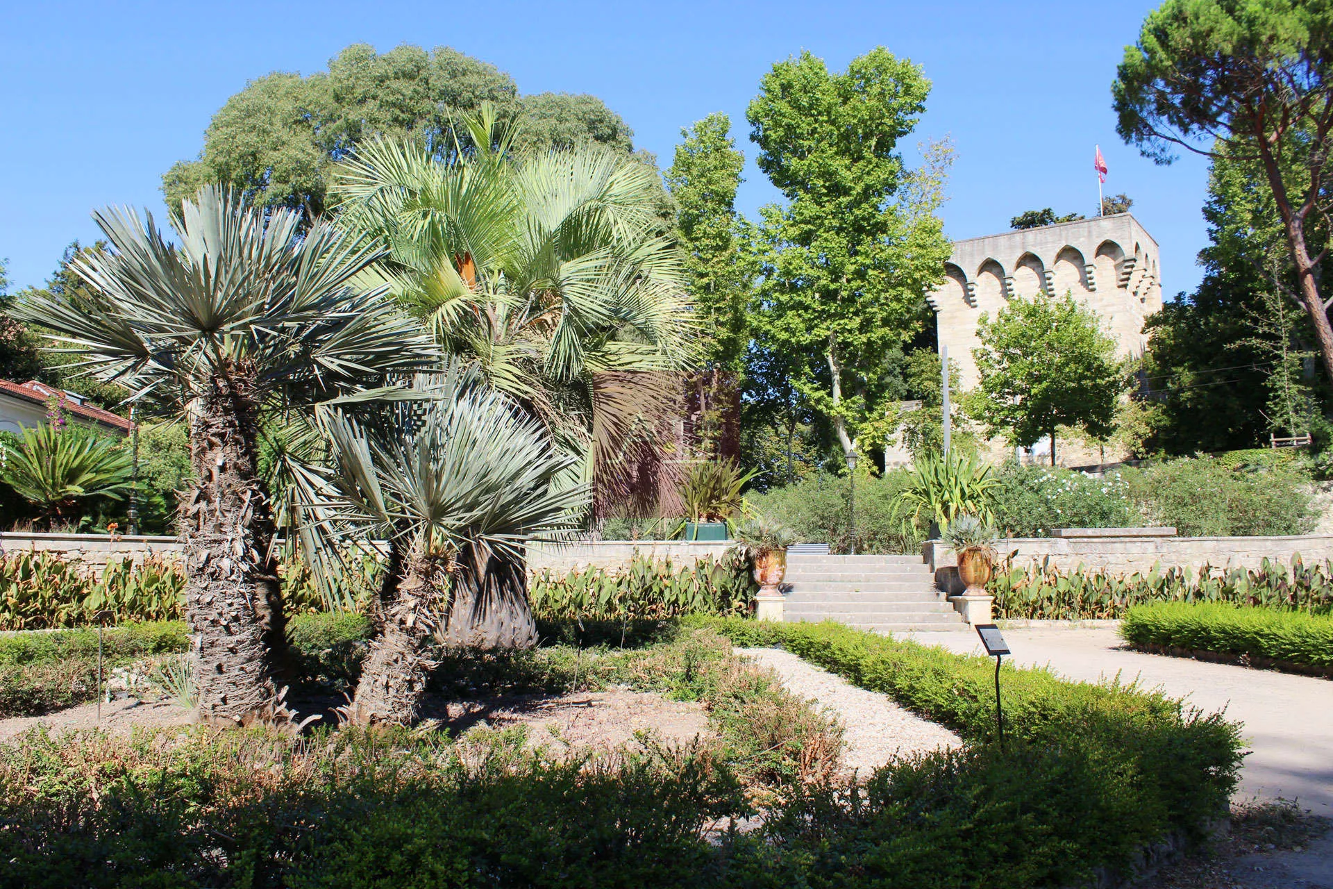 Rare 2-room Apartment with Large Terrace in Montpellier 