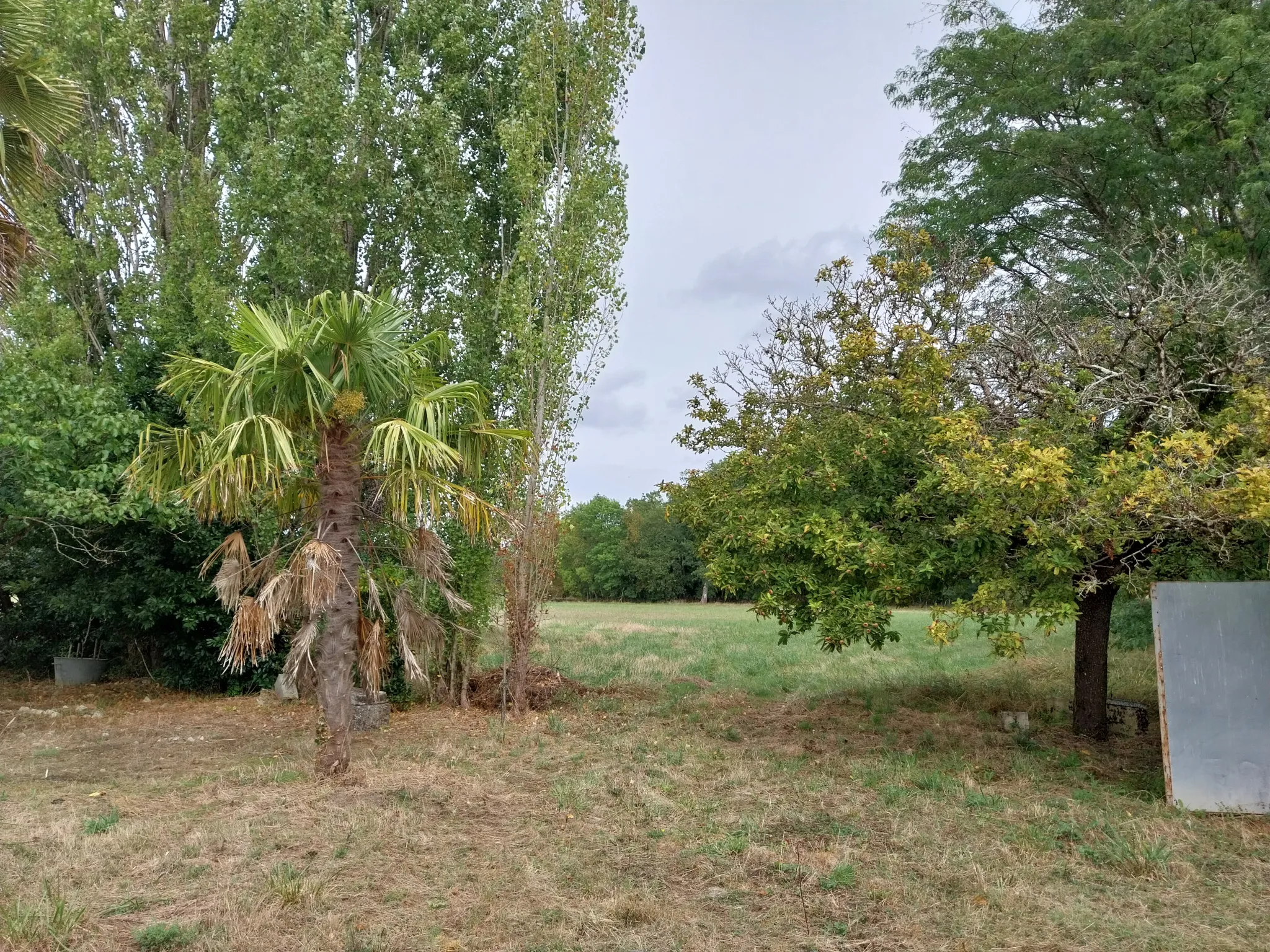 Maison charentaise à rénover avec 9 hectares de prairies - Nercillac 