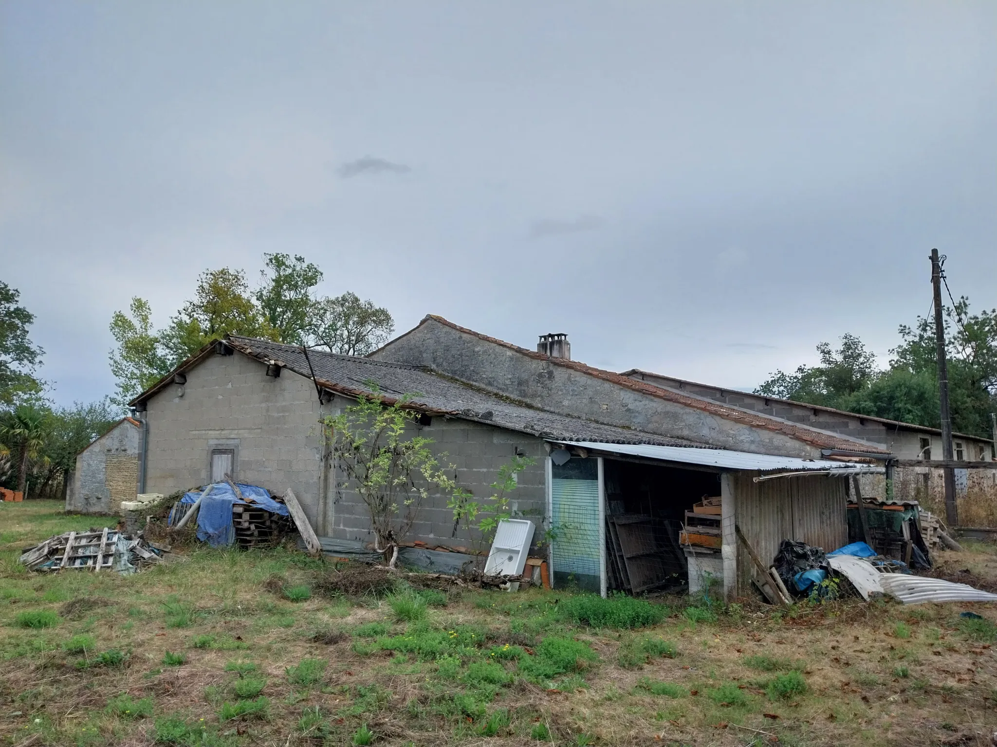 Maison charentaise à rénover avec 9 hectares de prairies - Nercillac 