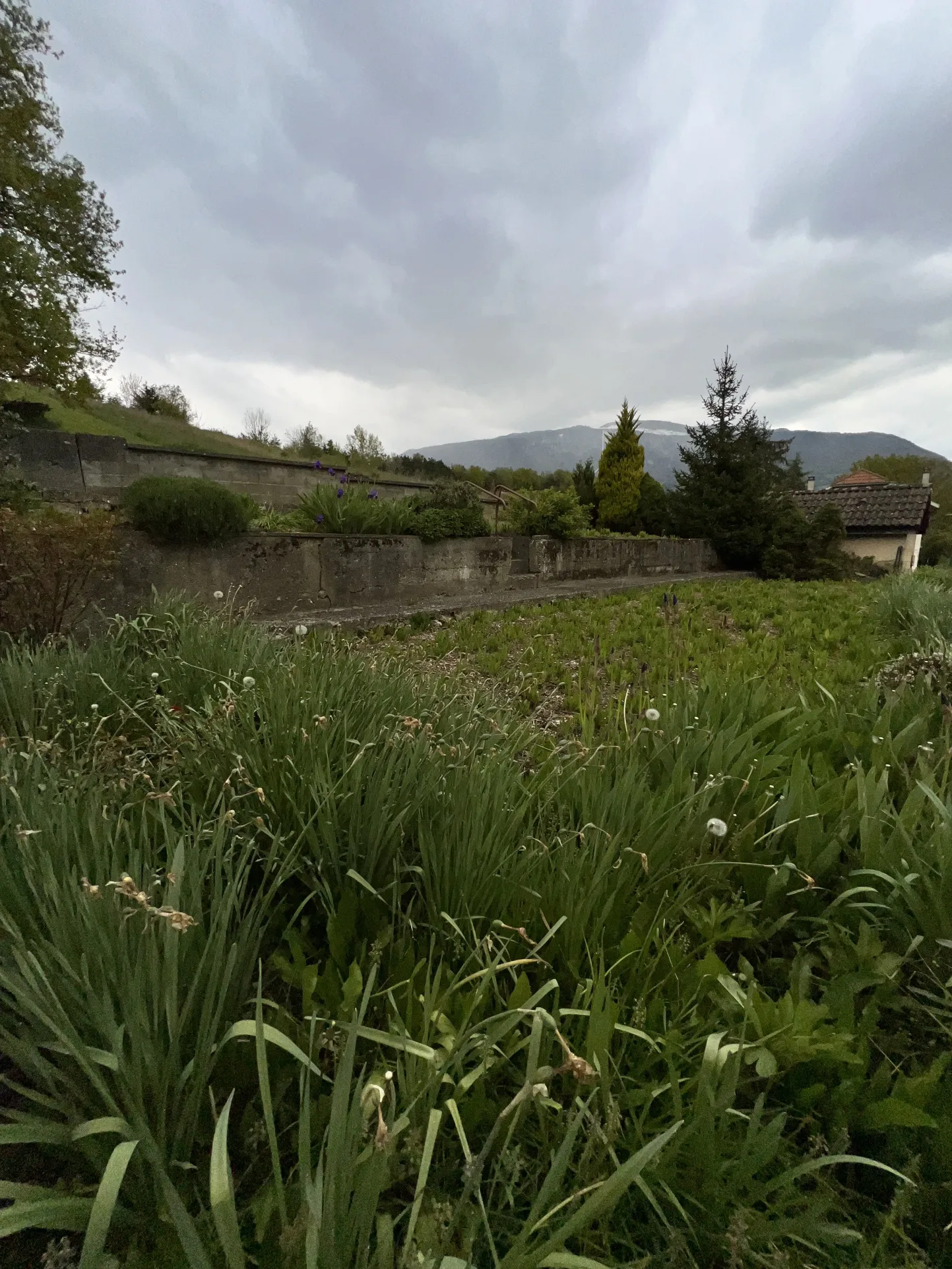 Maison familiale à rénover à Valserhone 