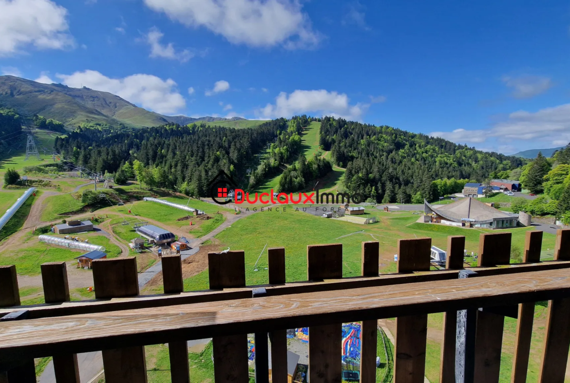 Studio de 31m2 au Lioran avec vue panoramique - AURILLAC 