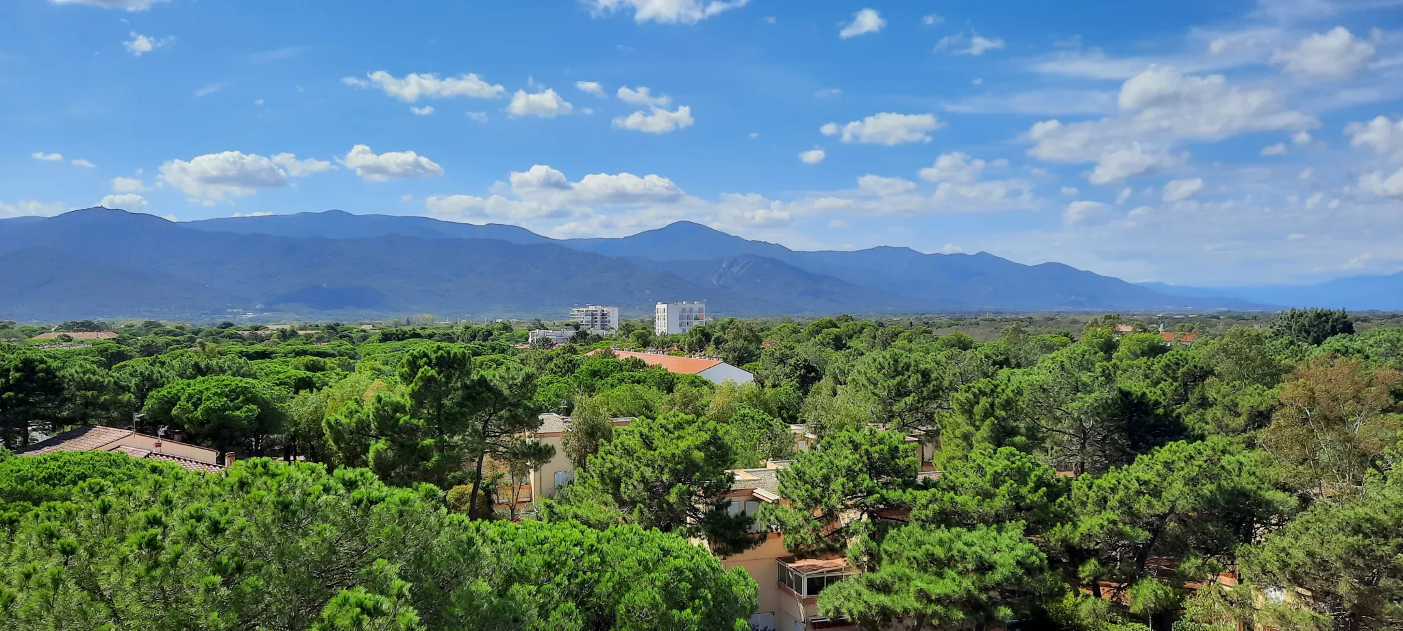 Cozy Apartment with Sea View in Argeles-Sur-Mer 