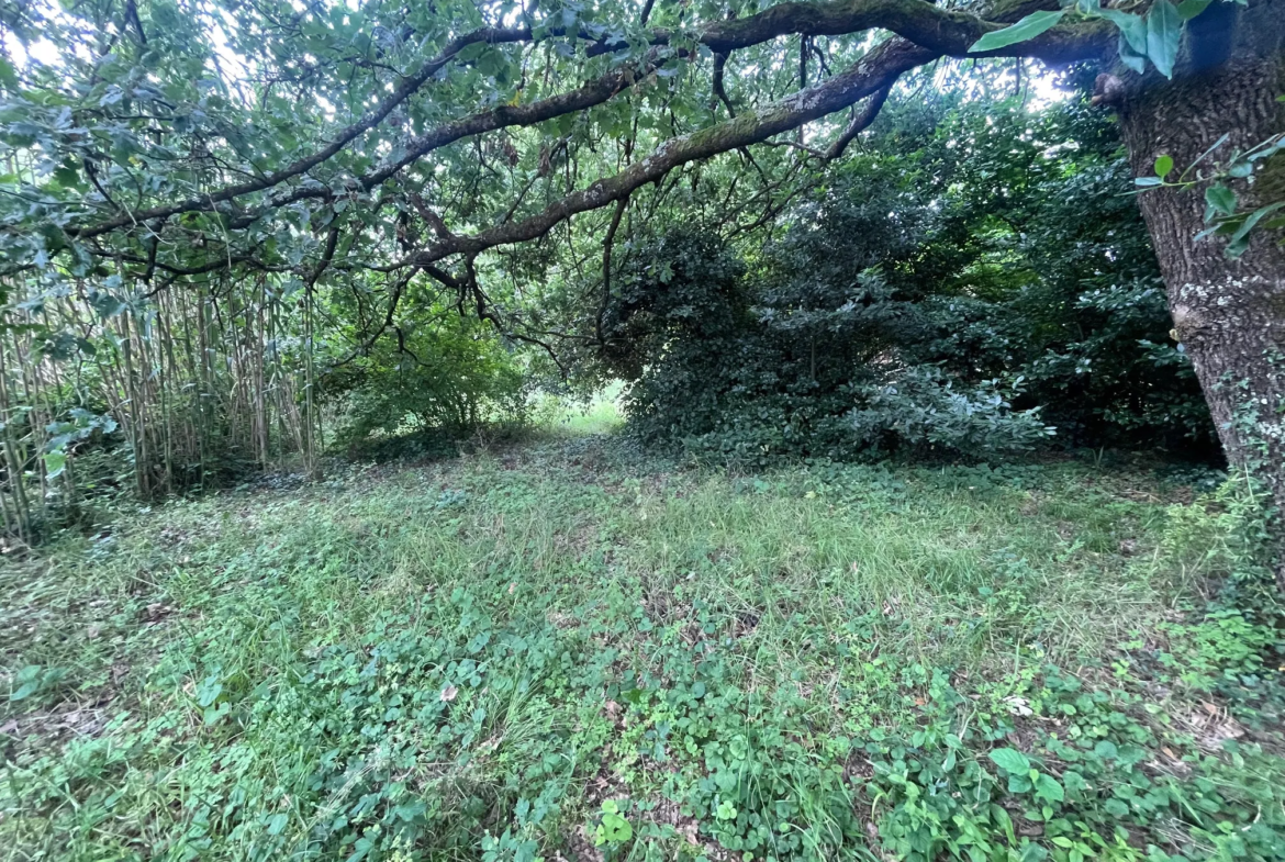 Belle maison de 80m2 sur terrain arboré à Meschers sur Gironde 