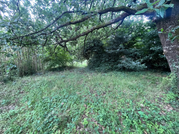 Belle maison de 80m2 sur terrain arboré à Meschers sur Gironde