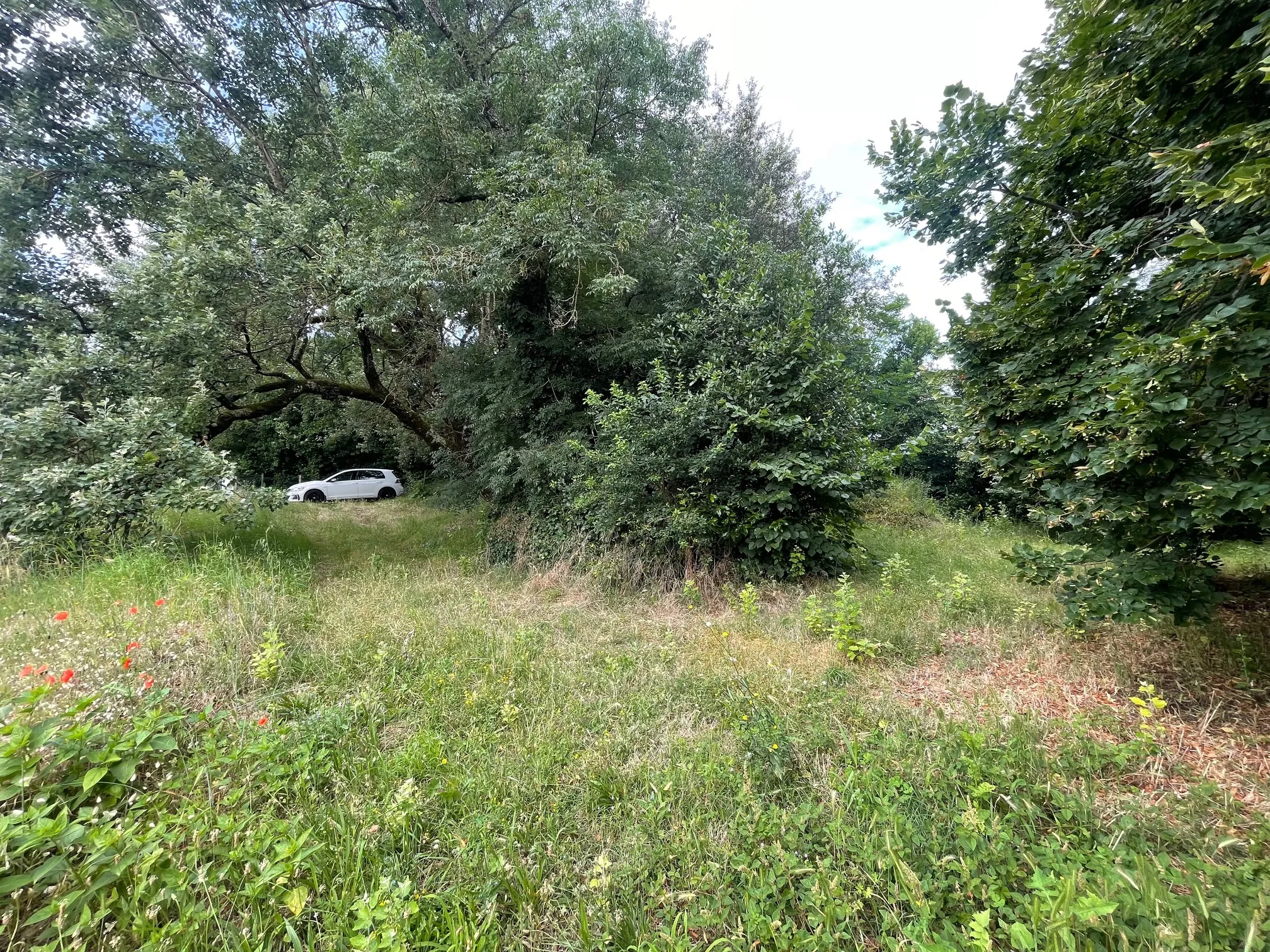 Belle maison de 80m2 sur terrain arboré à Meschers sur Gironde 