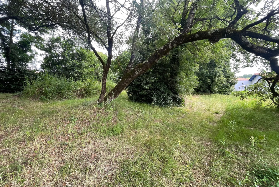 Belle maison de 80m2 sur terrain arboré à Meschers sur Gironde 