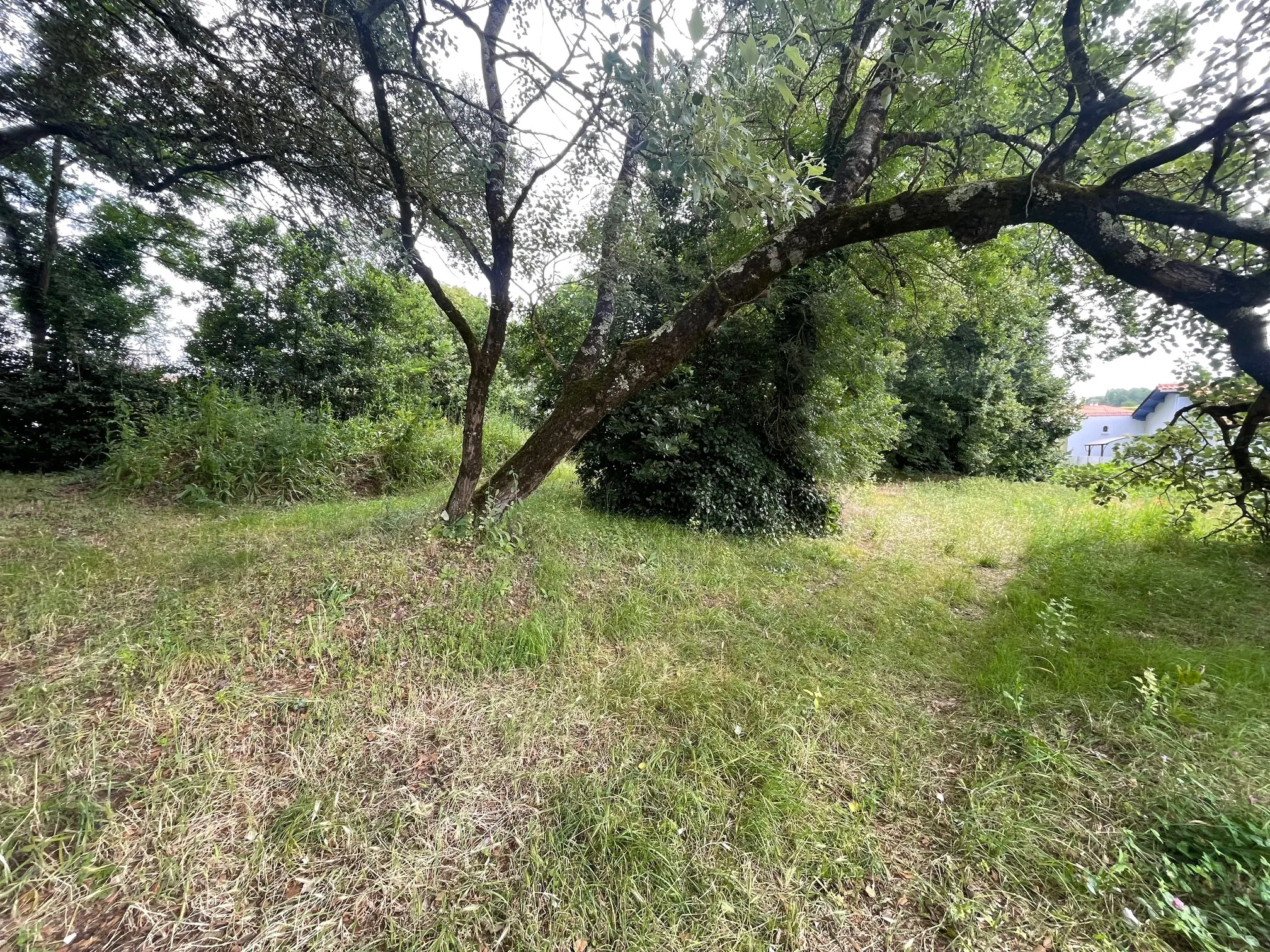 Belle maison de 80m2 sur terrain arboré à Meschers sur Gironde 