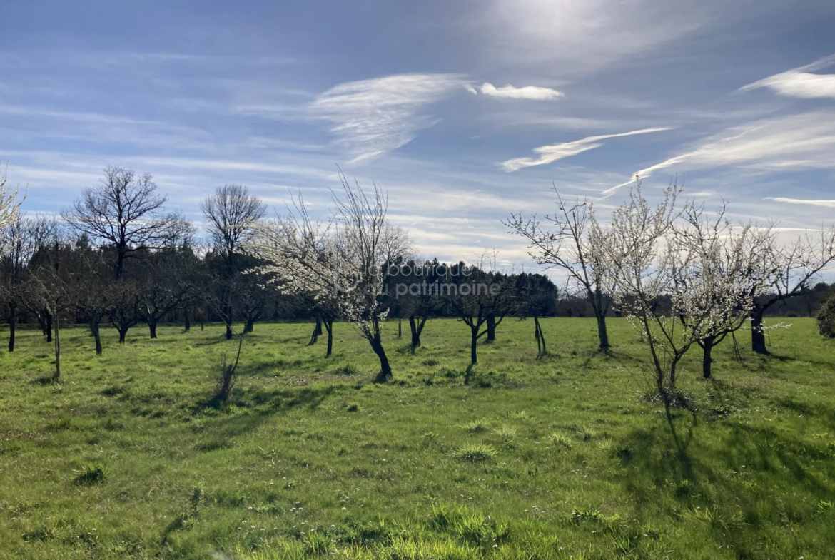 Propriété de 178m2 sur 4.5 hectares à Grignols 