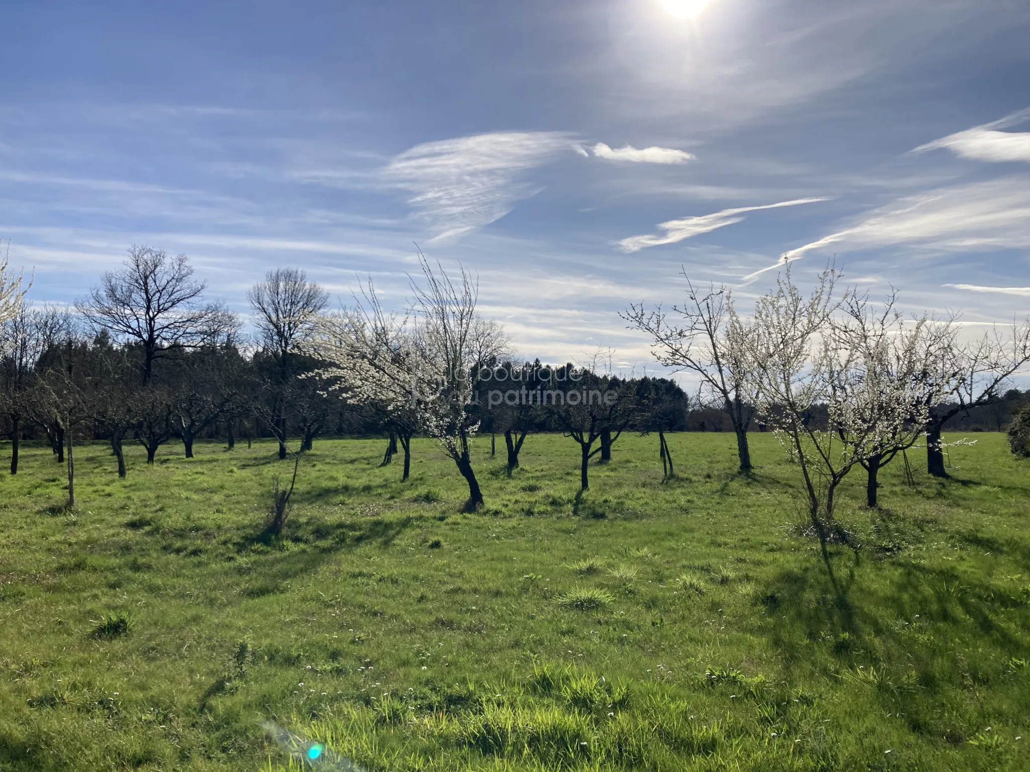 Propriété de 178m2 sur 4.5 hectares à Grignols 