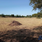 Terrain agricole ou de loisirs de 6209m2 à Bessan