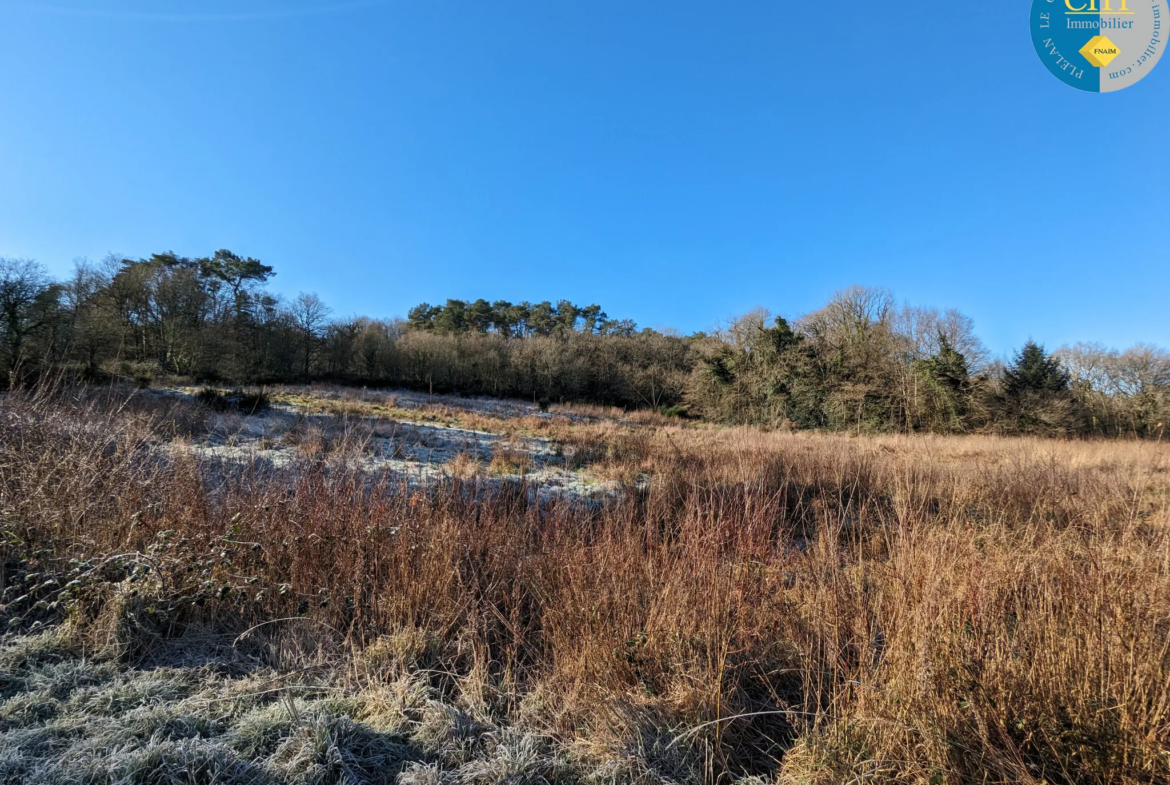 Terrain en zone agricole proche de la forêt de Brocéliande à Beignon 