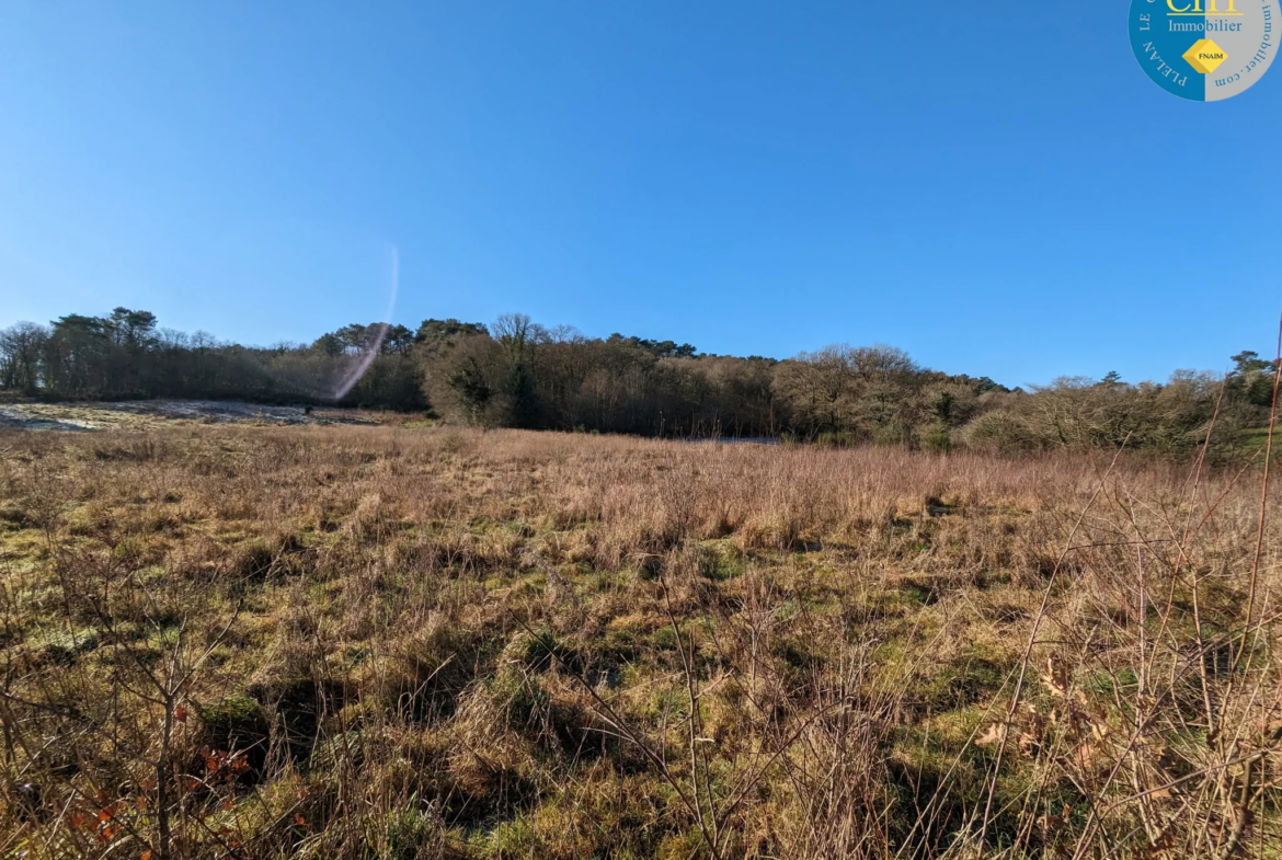 Terrain en zone agricole proche de la forêt de Brocéliande à Beignon 