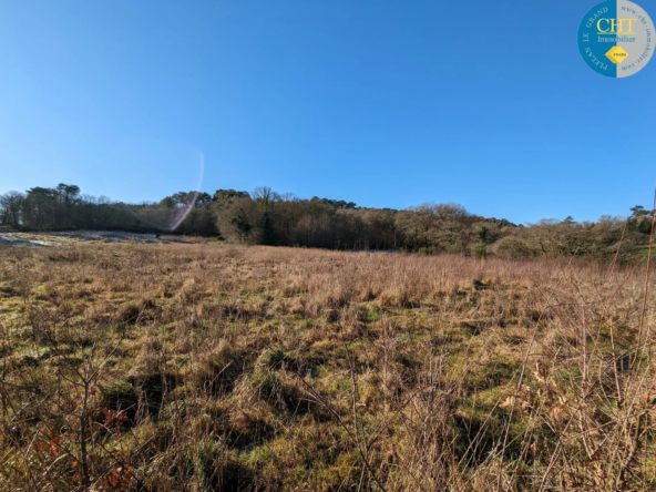 Terrain en zone agricole proche de la forêt de Brocéliande à Beignon