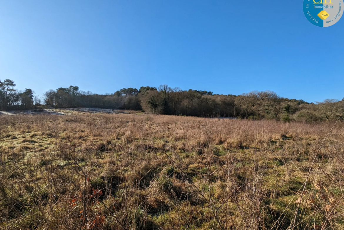 Terrain en zone agricole proche de la forêt de Brocéliande à Beignon 