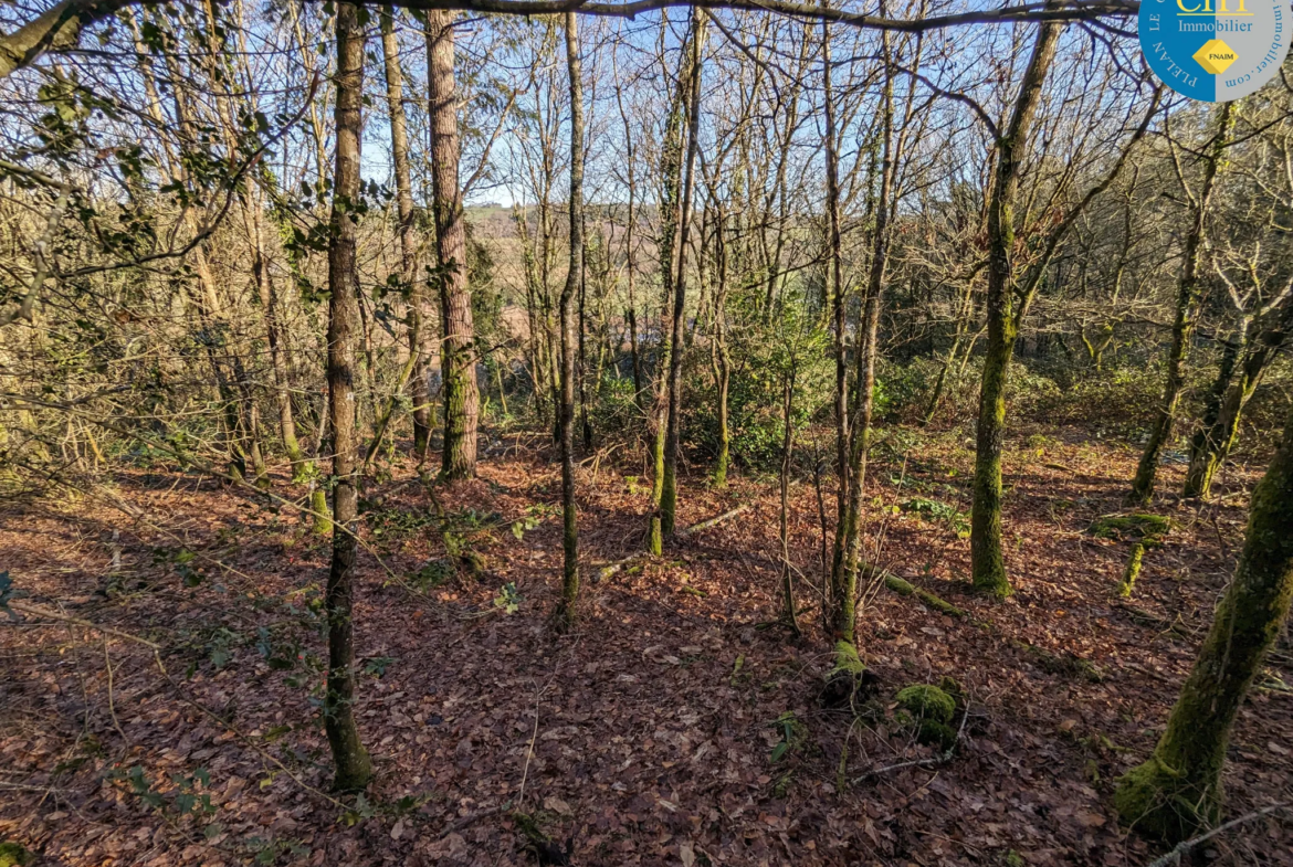 Terrain en zone agricole proche de la forêt de Brocéliande à Beignon 