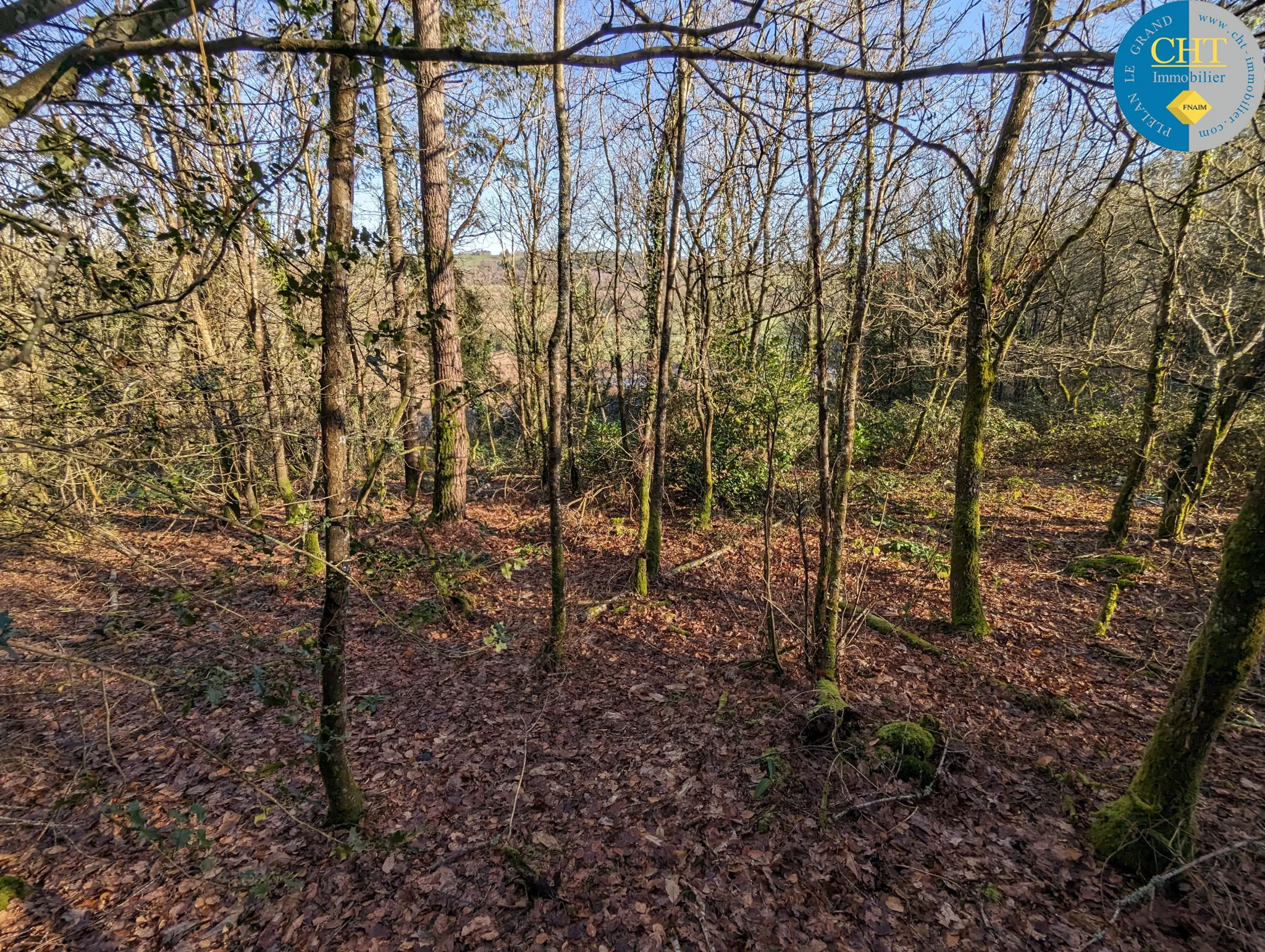 Terrain en zone agricole proche de la forêt de Brocéliande à Beignon 