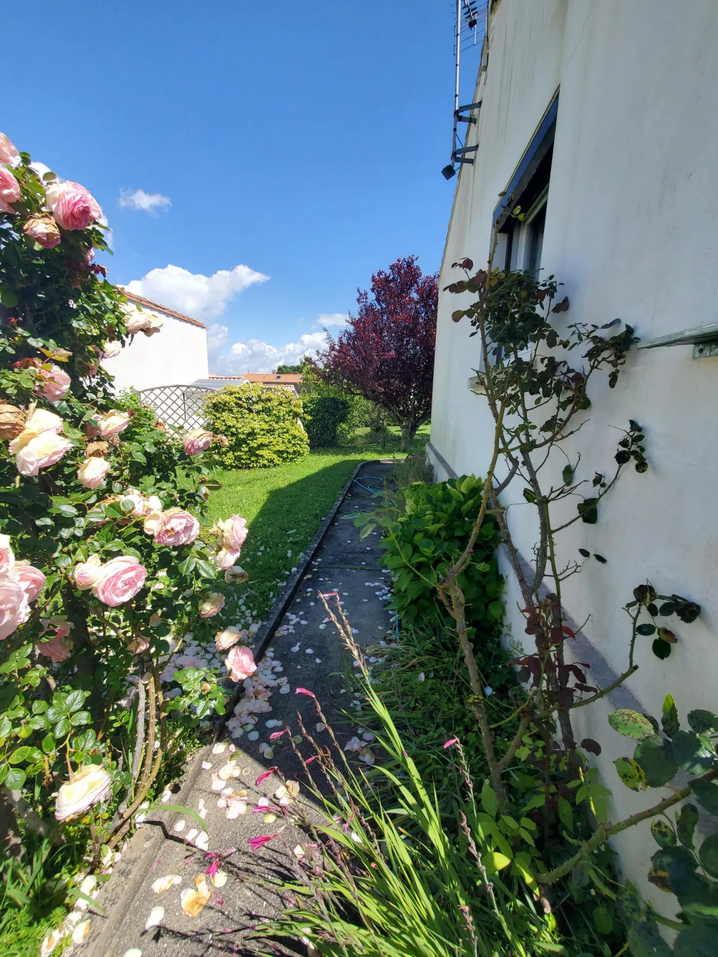 Maison 2 chambres à Meschers sur Gironde 